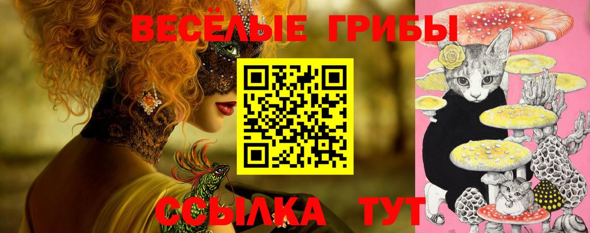 Ижевск  Псилоцибиновые грибы прущие грибы  Псилоцибиновые грибы прущие грибы  Вход с VPN 