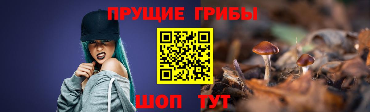 Псилоцибиновые грибы GOLDEN TEACHER Ижевск