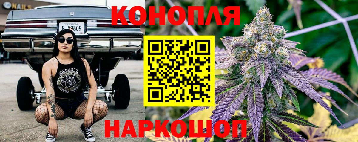 Канабис сатива  Вход с VPN  Ижевск  Марихуана план 